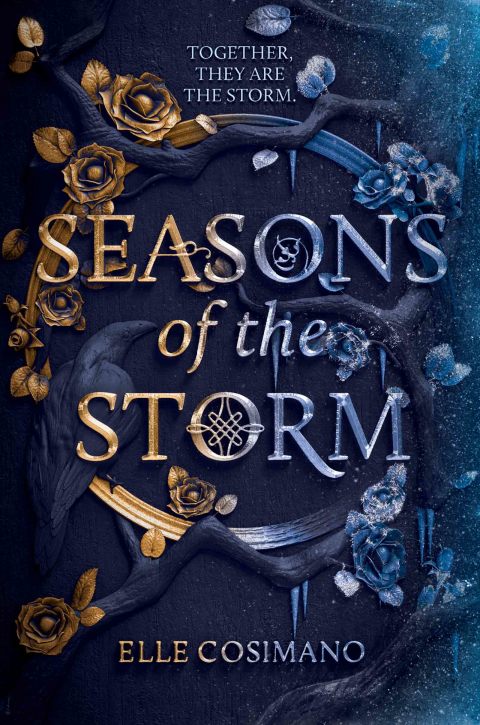 Cover image for book Seasons of the Storm