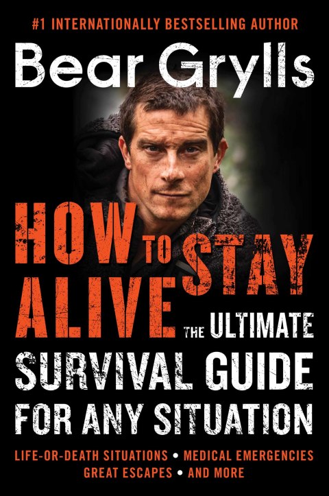 Cover image for book How to Stay Alive