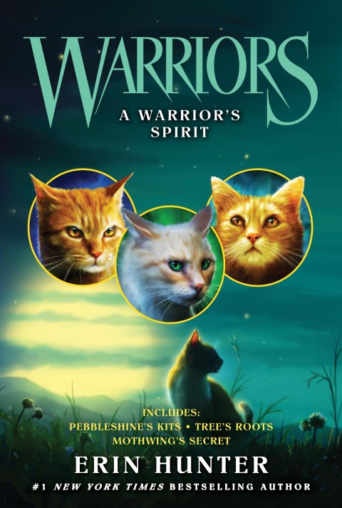 Cover image for book Warriors: A Warrior’s Spirit