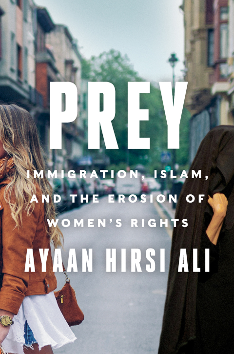 Cover image for book Prey