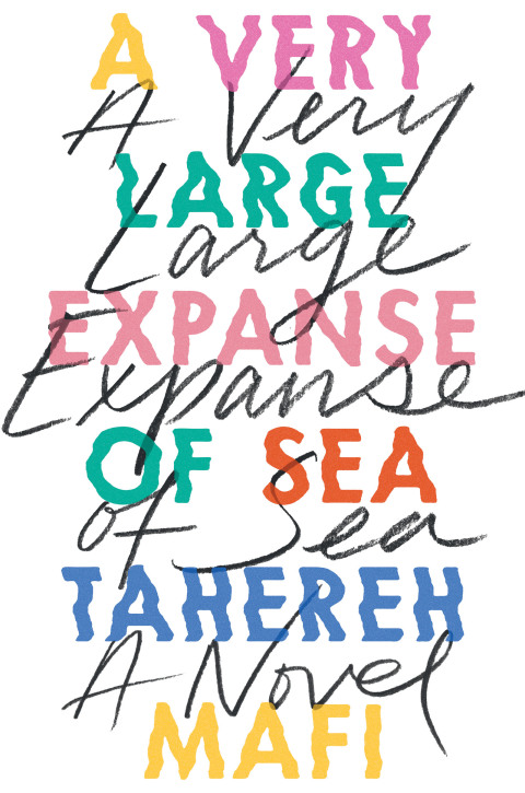 Cover image for book A Very Large Expanse of Sea