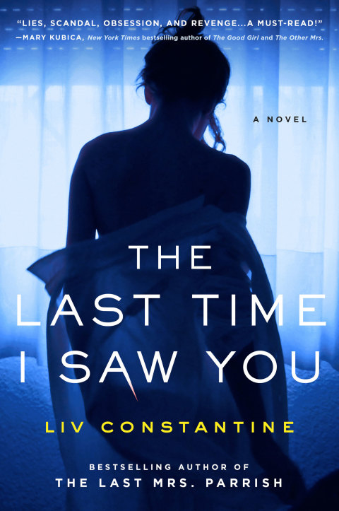 Cover image for book The Last Time I Saw You