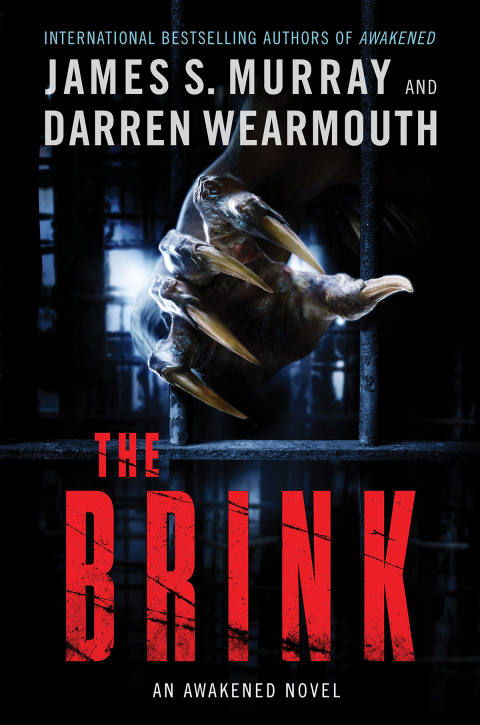 Cover image for book The Brink