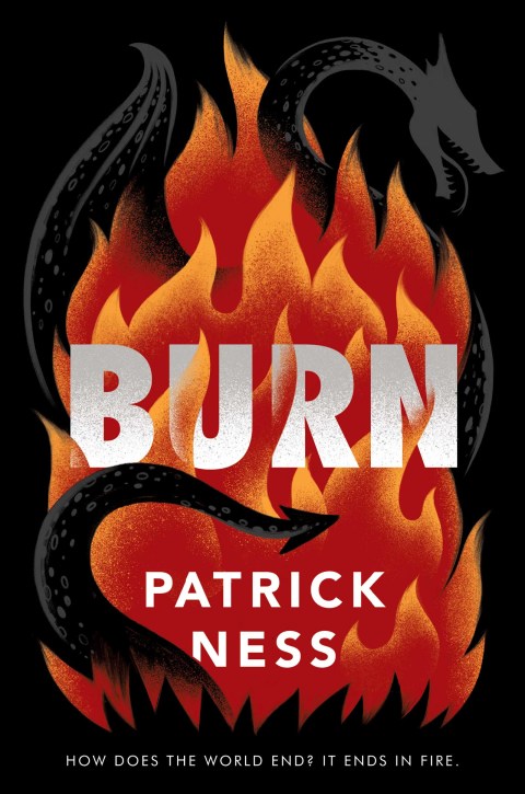 Cover image for book Burn