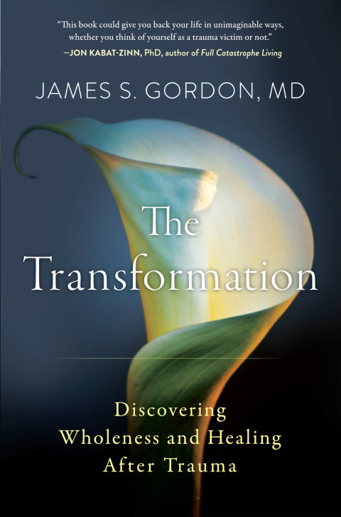 Cover image for book The Transformation
