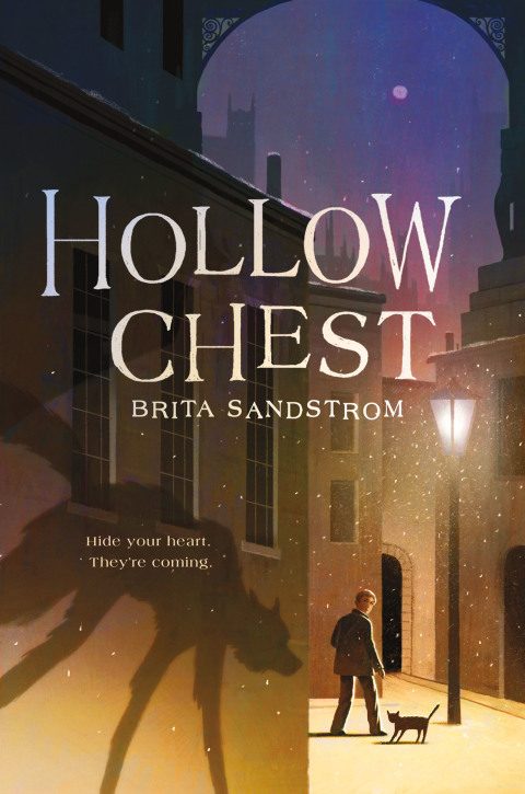 Cover image for book Hollow Chest