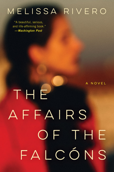 Cover image for book The Affairs of the Falcóns