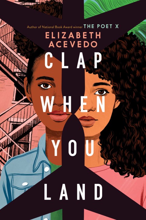 Cover image for book Clap When You Land