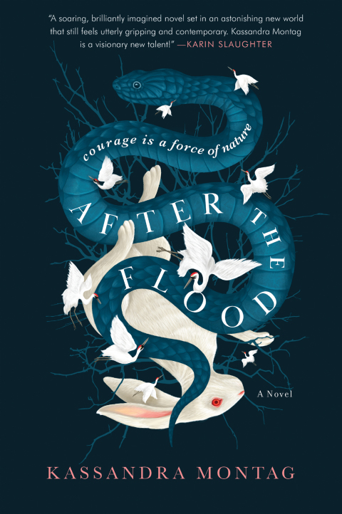 Cover image for book After the Flood