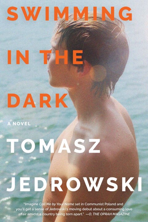 Cover image for book Swimming in the Dark