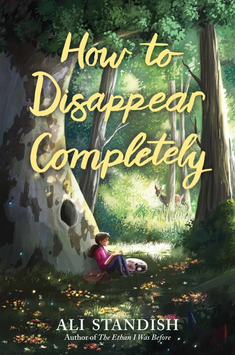 Cover image for book How to Disappear Completely