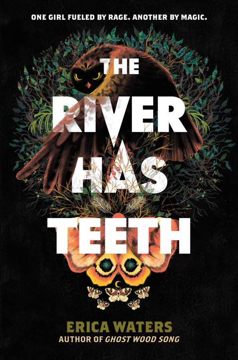 Cover image for book The River Has Teeth