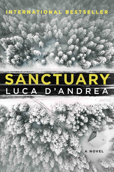 Cover image for book Sanctuary