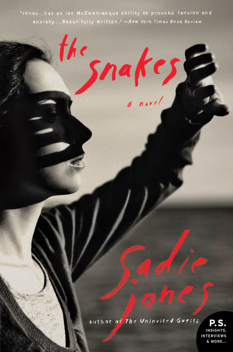 Cover image for book The Snakes