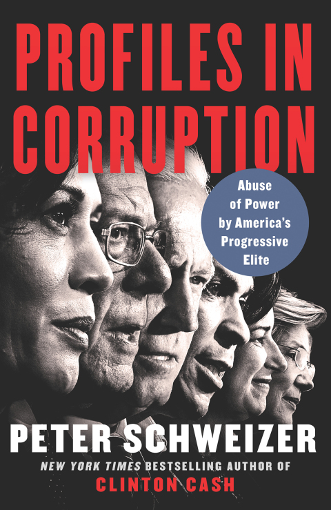 Cover image for book Profiles in Corruption
