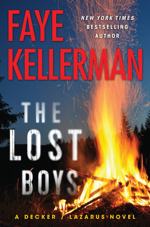 Cover image for book Lost Boys