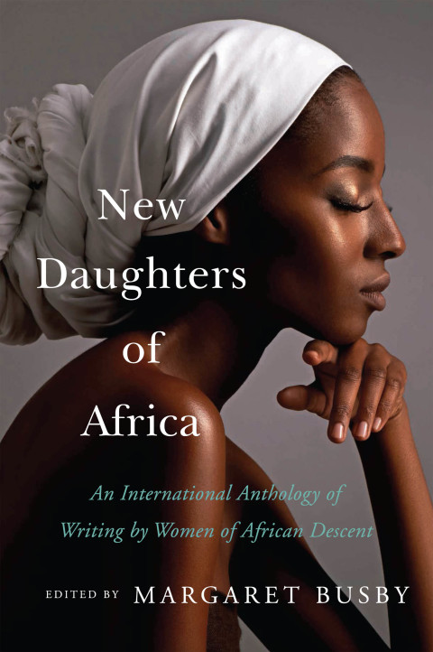 Cover image for book New Daughters of Africa