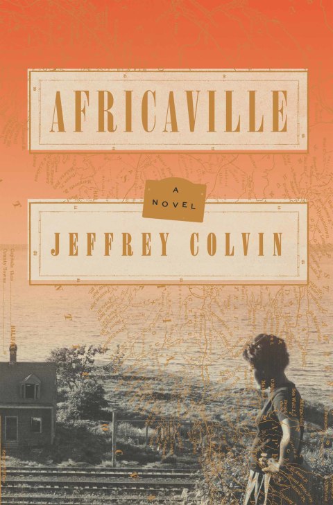 Cover image for book Africaville