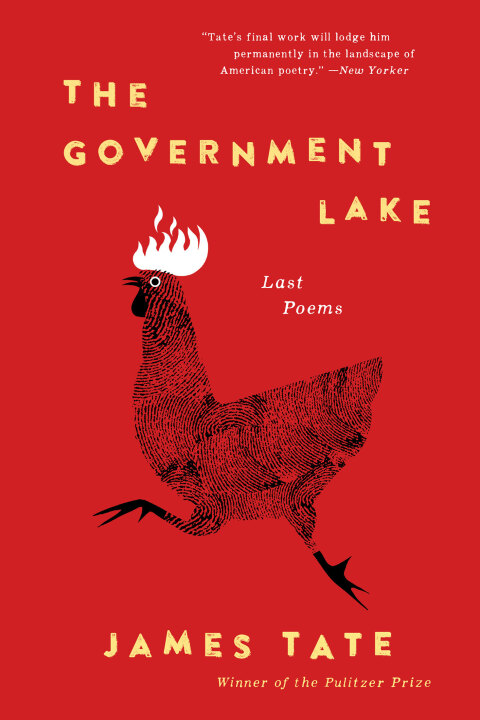 Cover image for book The Government Lake