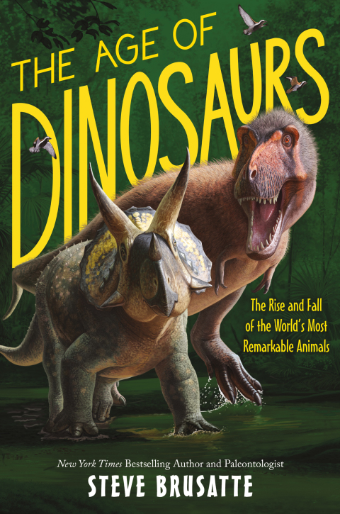 Cover image for book The Age of Dinosaurs