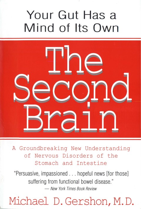 Cover image for book The Second Brain