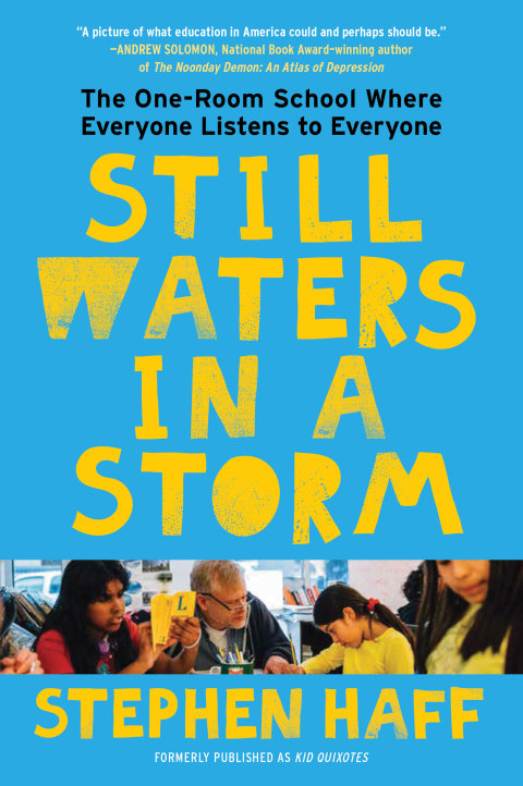 Cover image for book Still Waters in a Storm