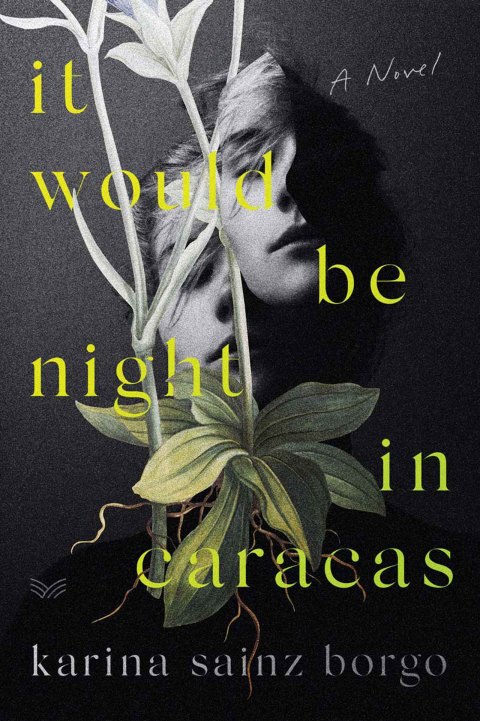 Cover image for book It Would Be Night in Caracas