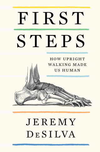 First Steps