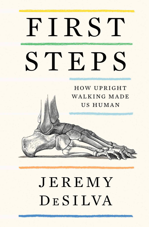 Cover image for book First Steps