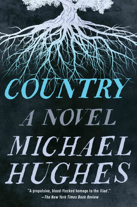 Cover image for book Country