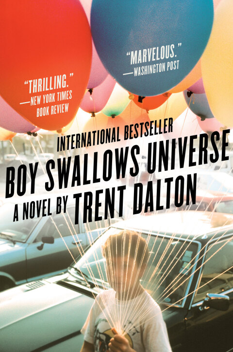 Cover image for book Boy Swallows Universe