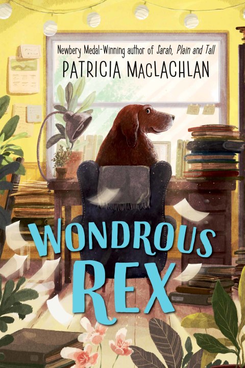 Cover image for book Wondrous Rex
