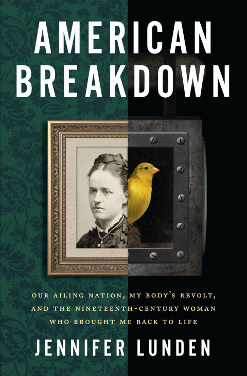 Cover image for book American Breakdown