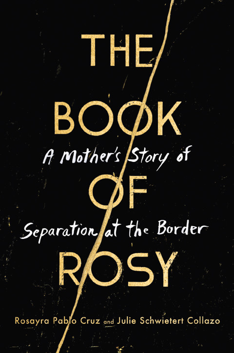 Cover image for book The Book of Rosy