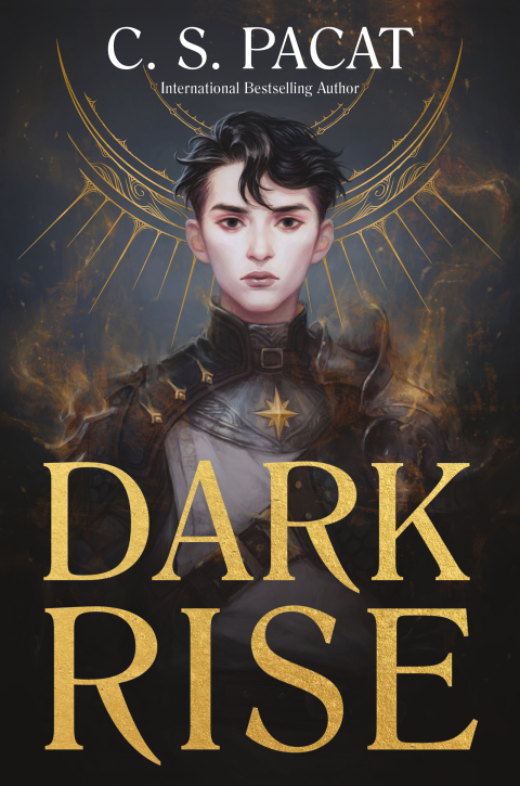 Cover image for book Dark Rise