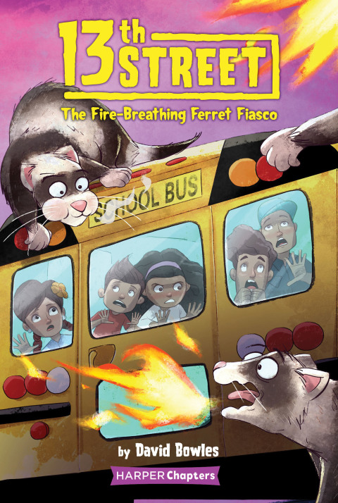 Cover image for book 13th Street #2: The Fire-Breathing Ferret Fiasco