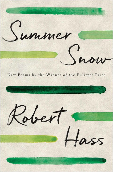 Cover image for book Summer Snow