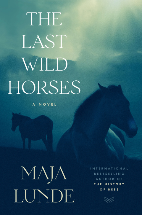 Cover image for book The Last Wild Horses