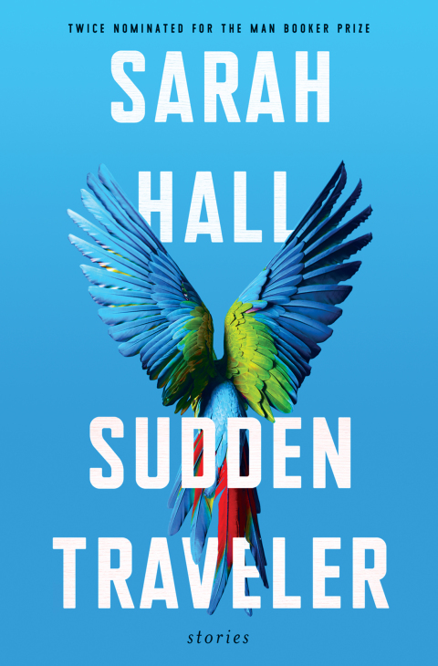Cover image for book Sudden Traveler