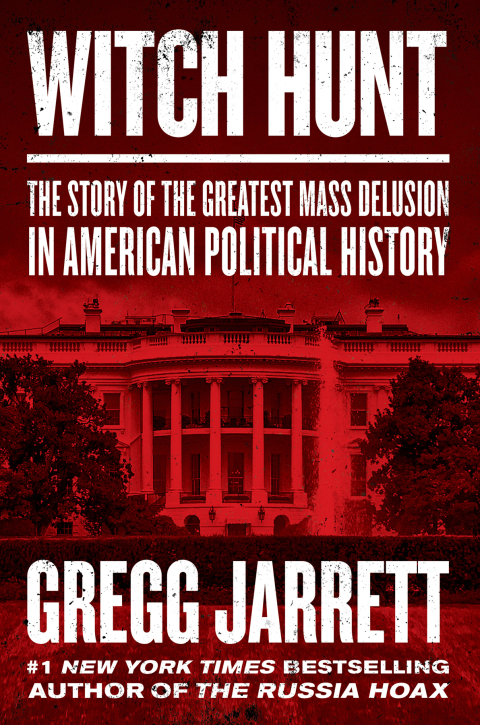 Cover image for book Witch Hunt