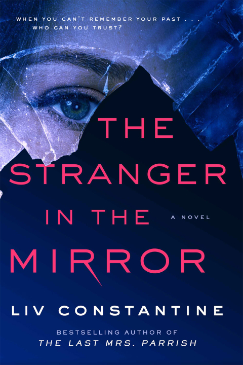 Cover image for book The Stranger in the Mirror