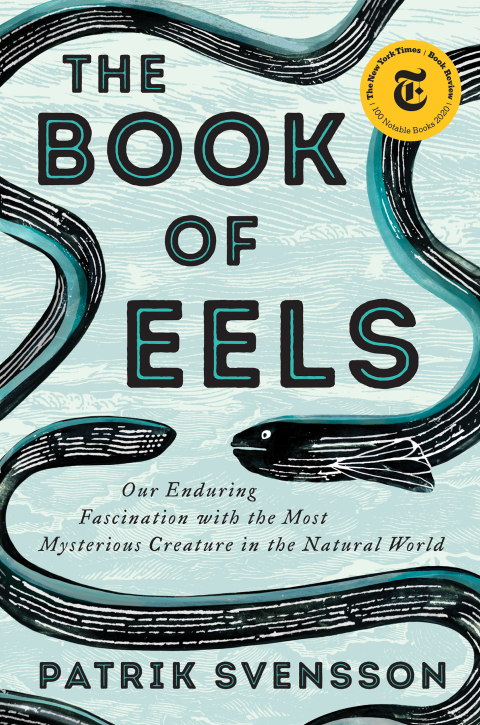 Cover image for book The Book of Eels
