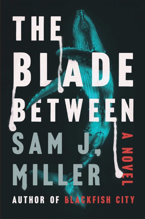 Cover image for book The Blade Between