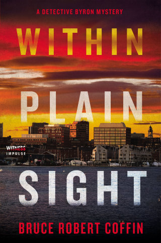 Within Plain Sight
