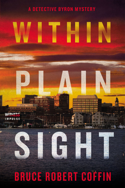 Cover image for book Within Plain Sight