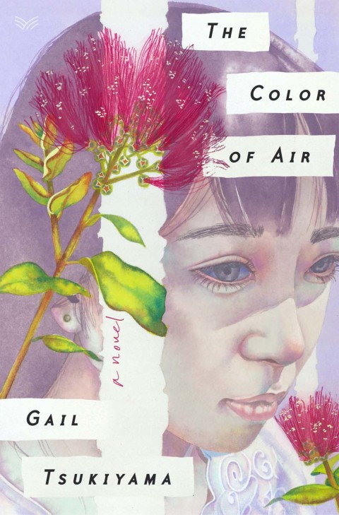 Cover image for book The Color of Air