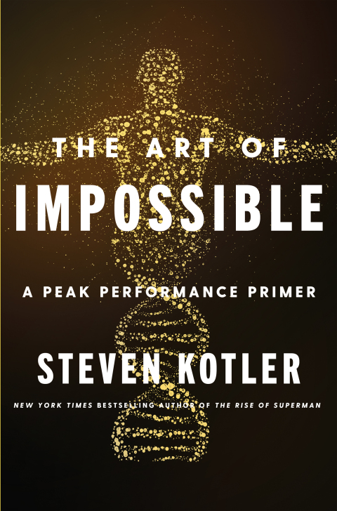 Cover image for book The Art of Impossible