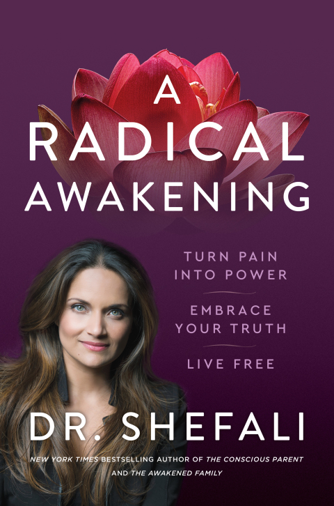 Cover image for book A Radical Awakening