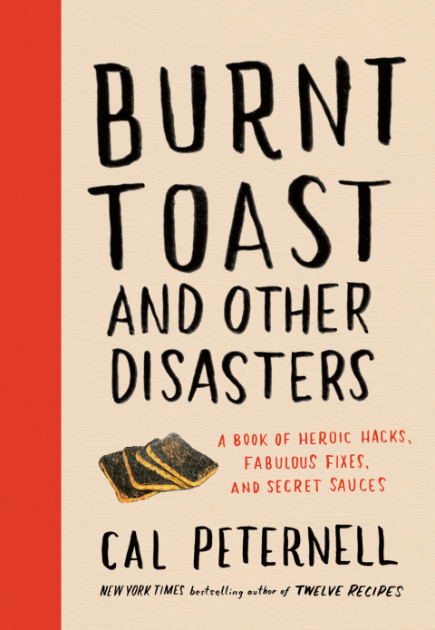 Cover image for book Burnt Toast and Other Disasters