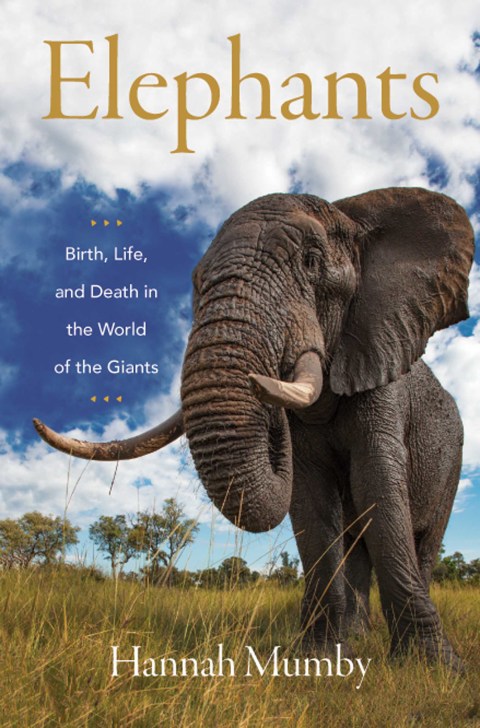 Cover image for book Elephants
